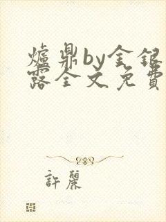 炉鼎by金银花露全文免费阅读笔趣阁