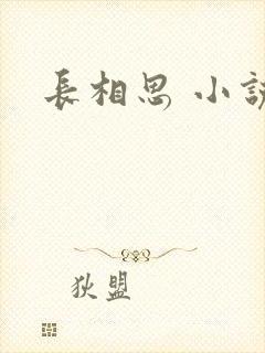 长相思 小说