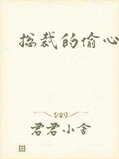 总裁的偷心娇妻