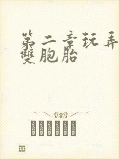 第二章玩弄少妇双胞胎