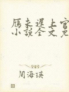 雁未迟上官穿越小说全文免费阅读