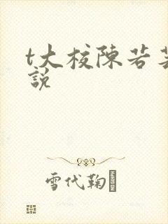 t大校陈若芸小说