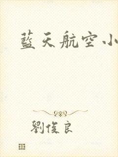 蓝天航空小说