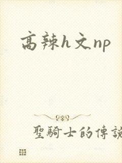 高辣h文np