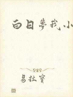 白日梦我小说