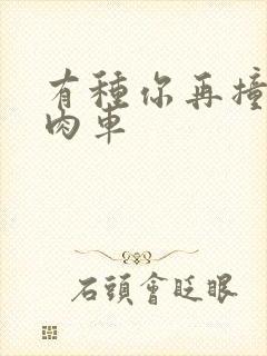 有种你再撞一下肉车