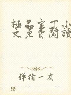 极品家丁小说全文免费阅读