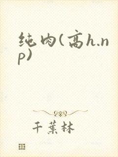 纯肉(高h.np)