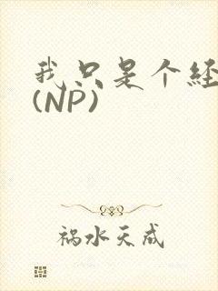 我只是个经纪人(NP)