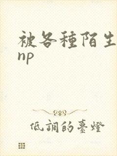 被各种陌生人 np