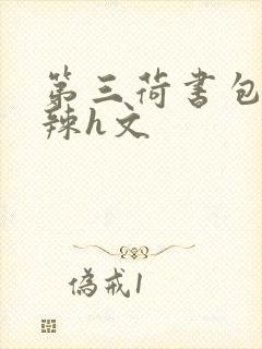 第三荷书包网高辣h文