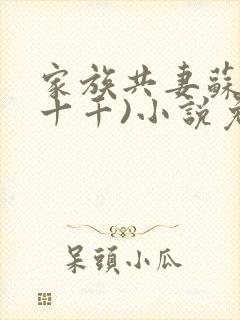 家族共妻苏苏(十千)小说免费