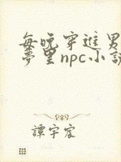 每晚穿进男神的梦里npc小说