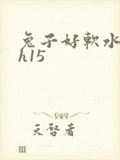 兔子好软水好多h15