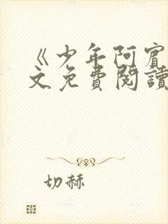 《少年阿宾》全文免费阅读