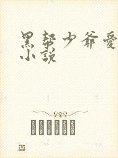 黑帮少爷爱上我小说