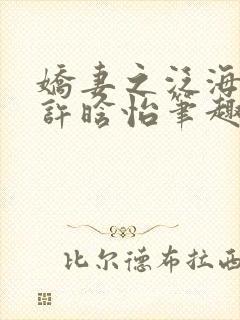 娇妻之泛海之舟许晗怡笔趣阁