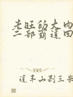 老旺的大肉蟒第二部霸道回归小说