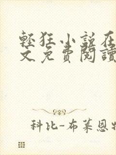 轻狂小说在线全文免费阅读