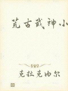 荒古武神小说