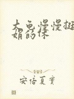 大龟慢慢挺进张娟的休