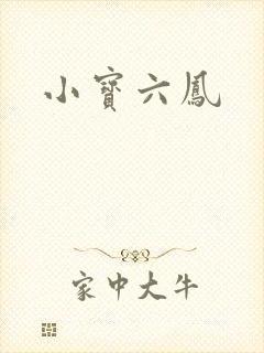 小宝六凤