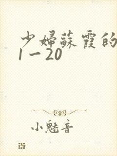 少妇苏霞的沉沦1一20