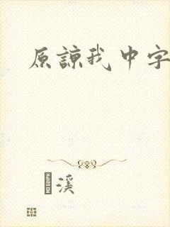 原谅我中字