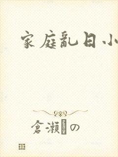 家庭乱日小说
