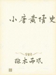 小唐黄倩史