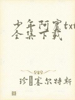 少年阿宾txt全集下载