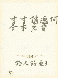 寸寸销魂何生祥全本免费