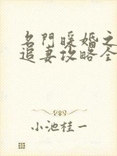 名门暖婚之权爷追妻攻略全文免费阅读