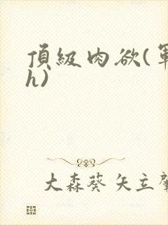 顶级肉欲(军高h)