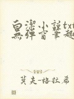 白洁小说txt无弹窗笔趣阁