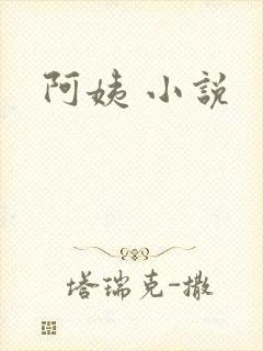 阿姨 小说