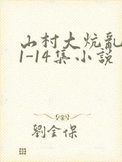 山村大炕乱肉续1-14集小说