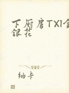 下厨房TXl金银花