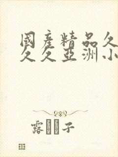 国产精品久久久久久亚洲小说