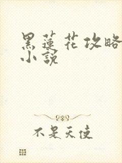 黑莲花攻略手册小说