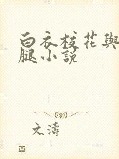 白衣校花与大长腿小说