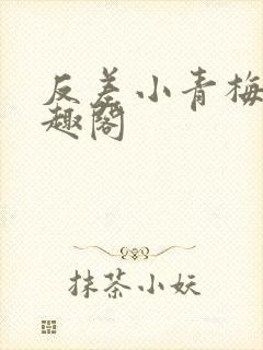 反差小青梅 笔趣阁