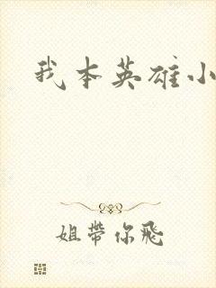 我本英雄小说