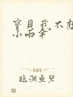 宝贝 我不想带小雨伞