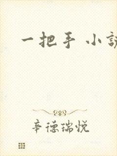 一把手 小说