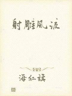 射雕风流