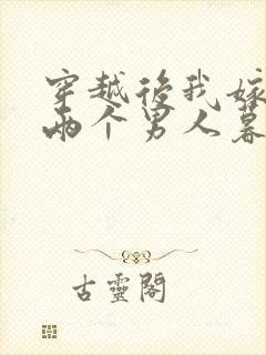 穿越后我嫁给了两个男人暮色酒歌