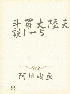 斗罗大陆天狂传说1一5
