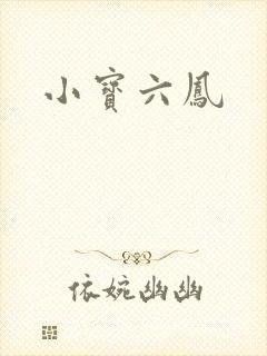 小宝六凤