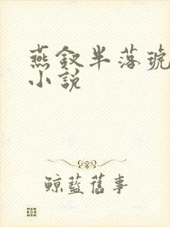 燕钗半落琥珀糖小说